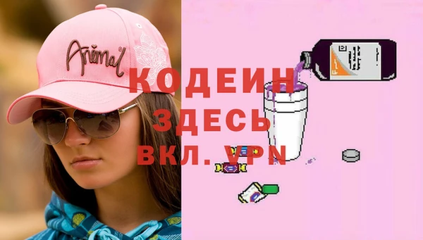 шишки Балахна