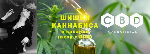 шишки Балахна