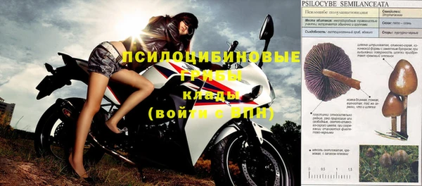 шишки Балахна