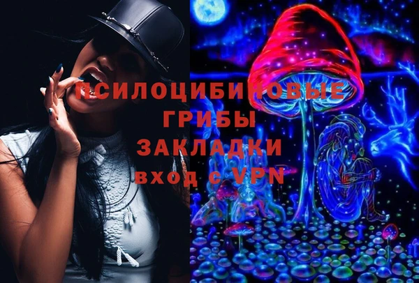 PSILOCYBIN Баксан